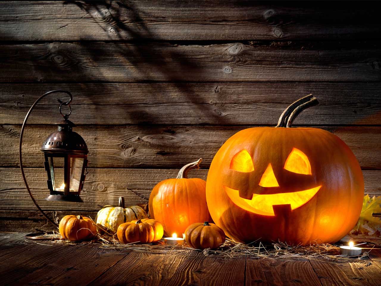 Carved pumpkin jack-o-lantern at Halloween