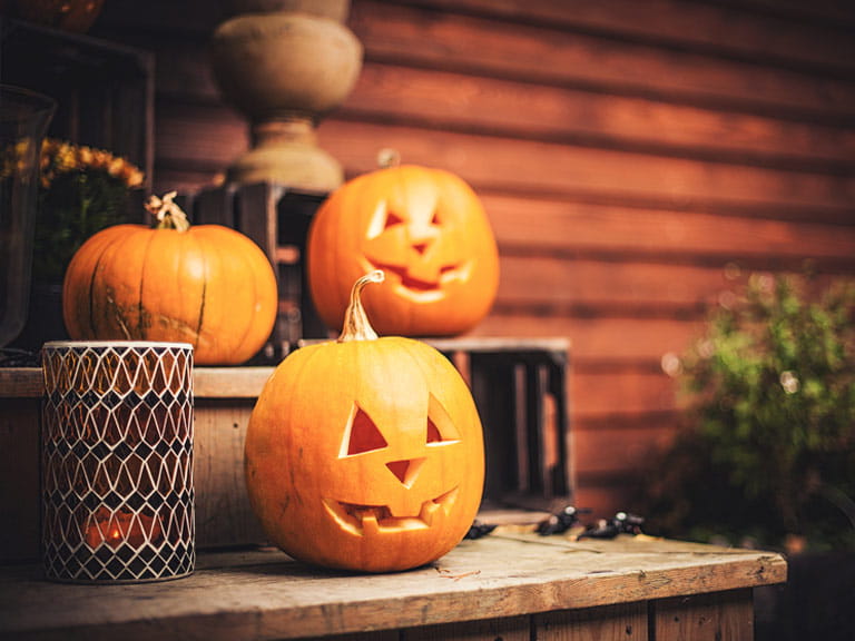 Halloween pumpkin carving and decorating - Saga