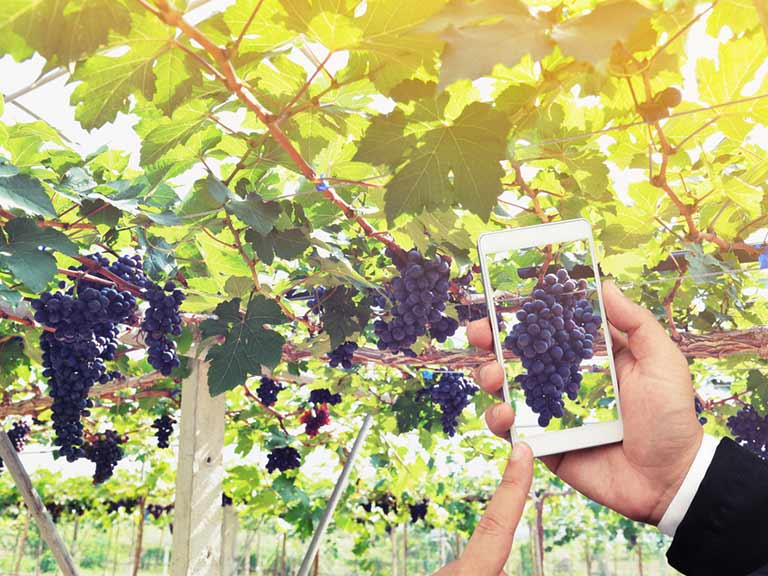A man films vines using Vine on his smartphone