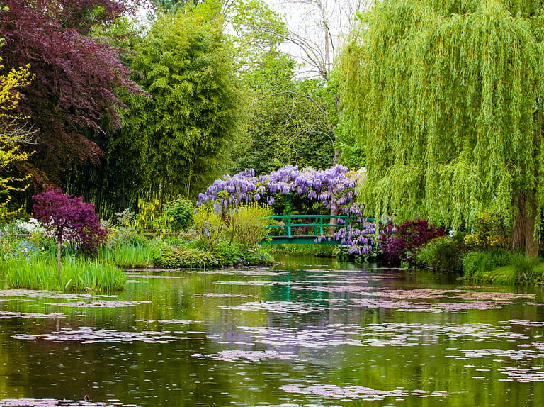 A beautiful garden in Giverny