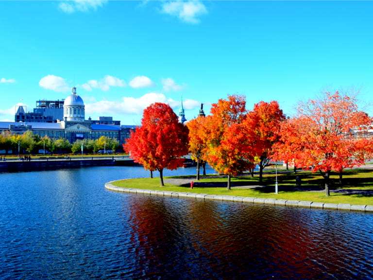 Montreal in Autumn
