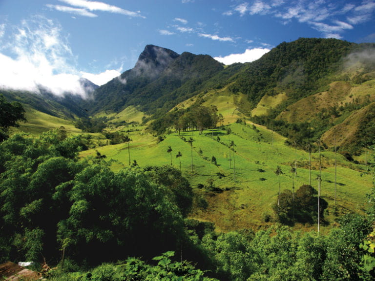 The Valley of Cocora, Columbia