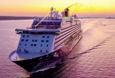 A hand filling out a crossword