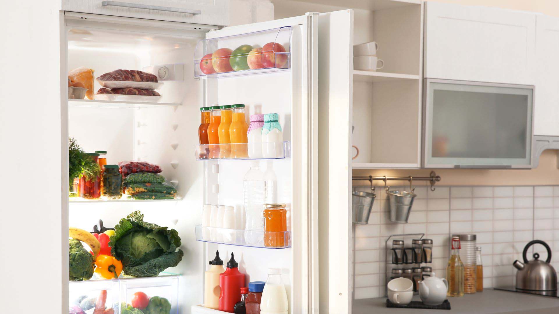 showing the contents of a fridge with its door open
