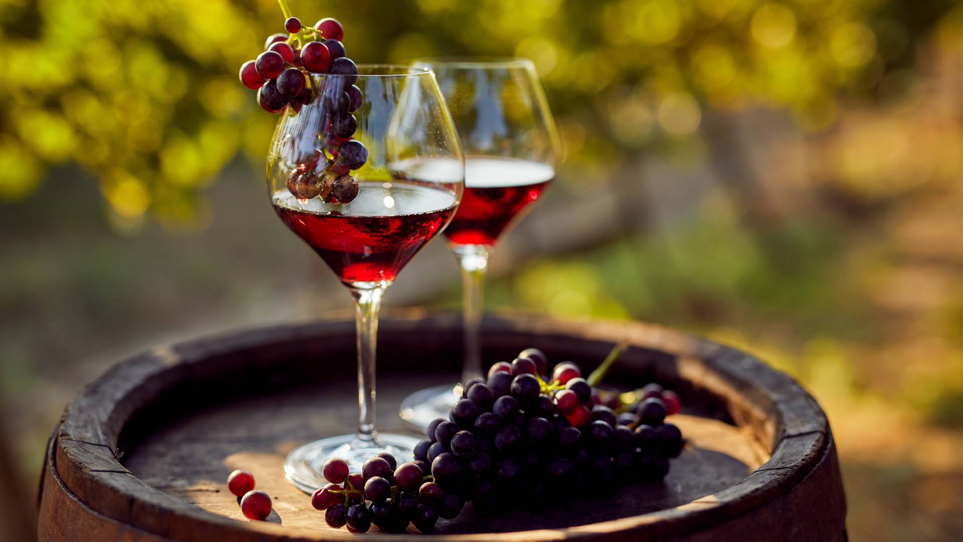 The grape skin in red wine contains polyphenols which are beneficial for gut bacteria.