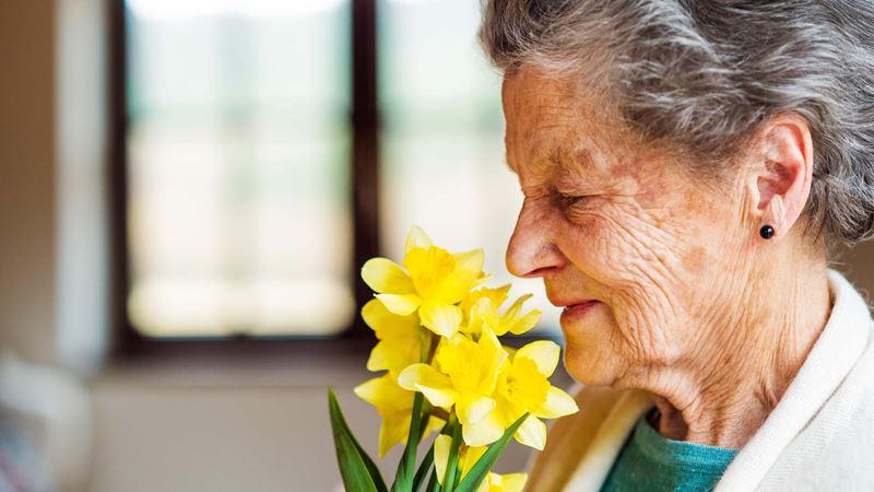 Woman by the window smelling bouquet of daffodils