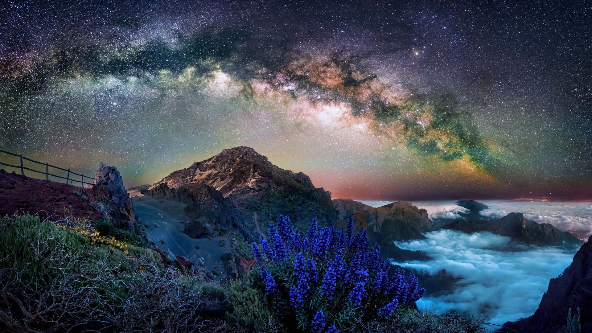 View of the night sky showing the milky way above mountains and shrubs