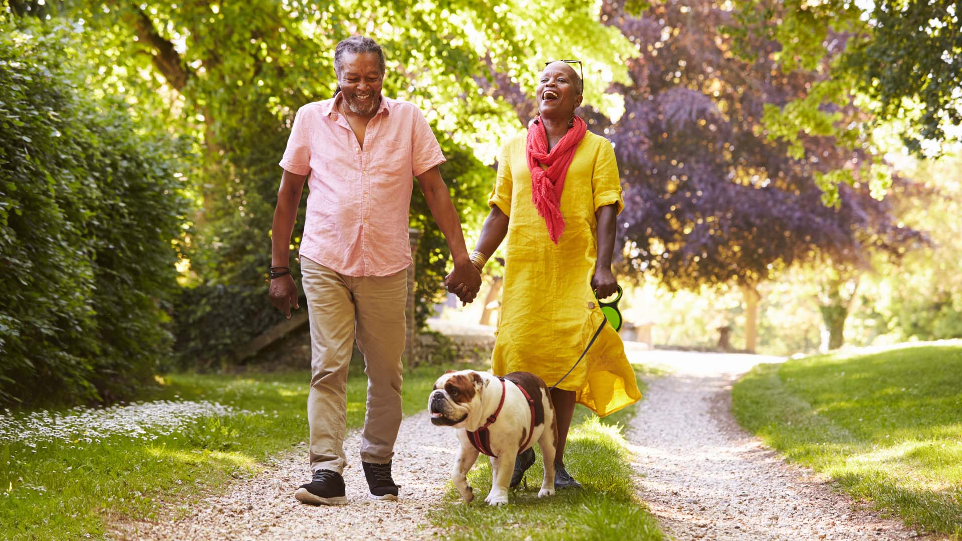 An older couple holding hands while walking a dog along a path between trees on a sunny day