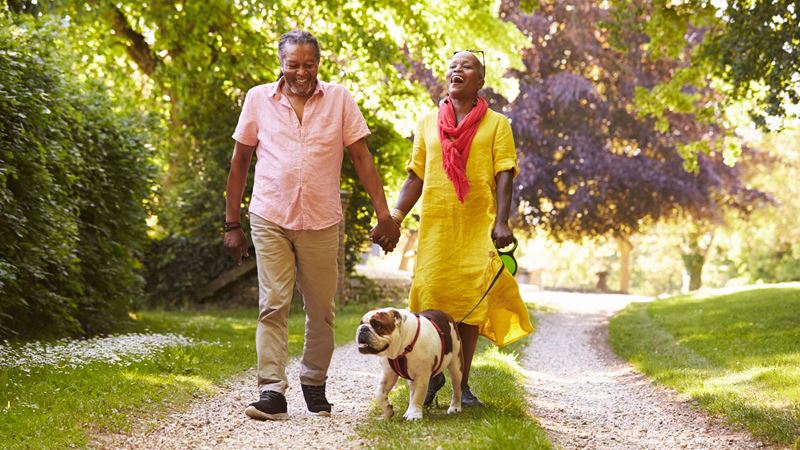 An older couple holding hands while walking a dog along a path between trees on a sunny day