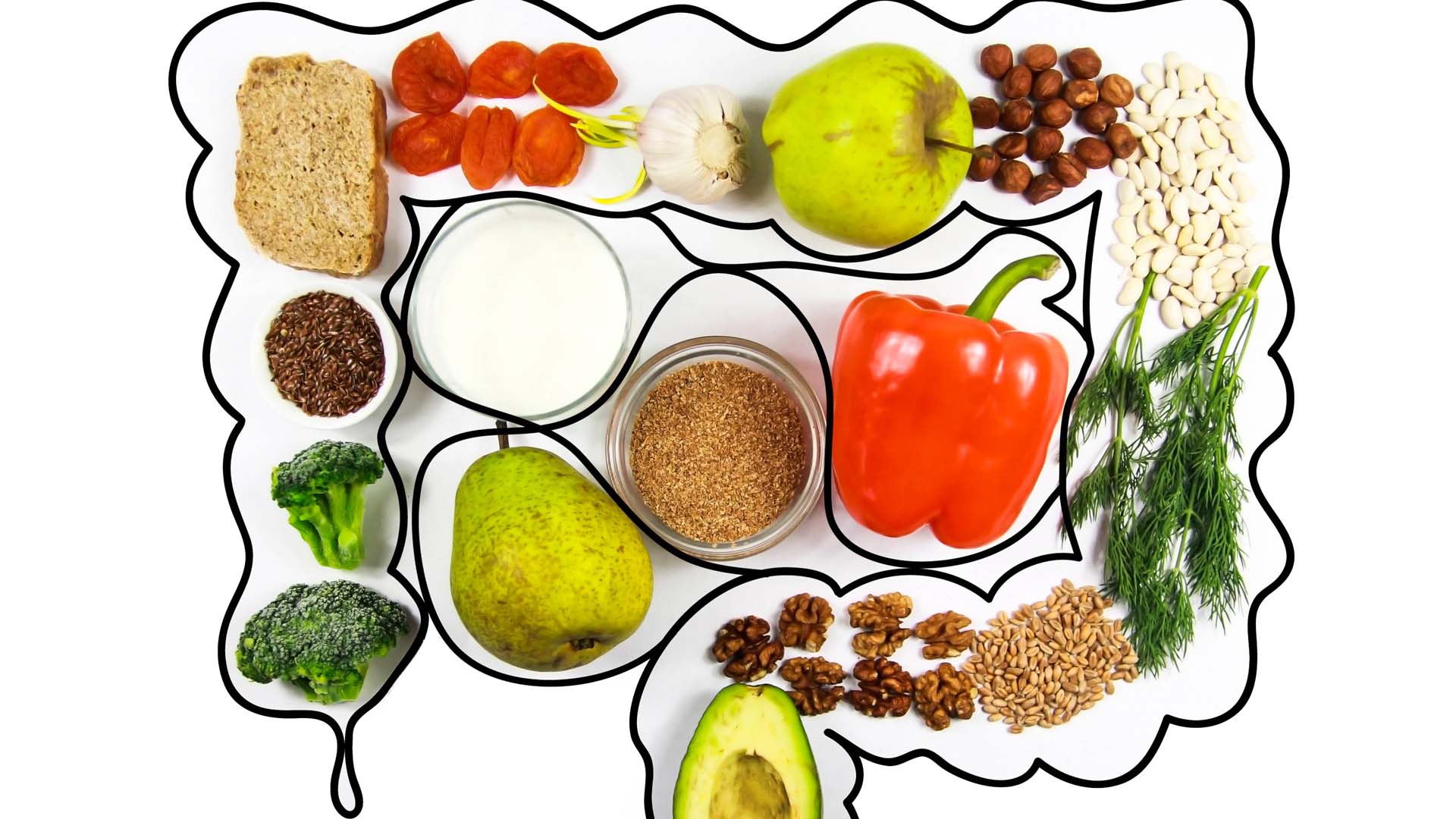 Fruits, vegetable and grains displayed inside an outline of the intestines