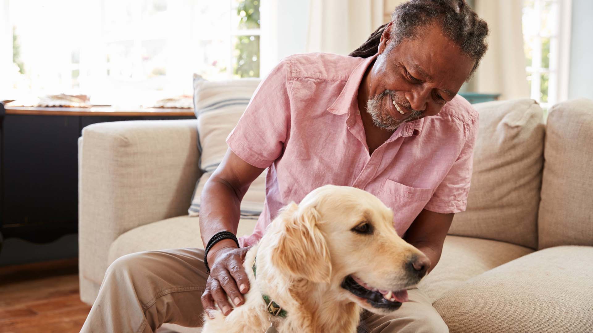 An older man sitting on a sofa stroking a golden retriever dog