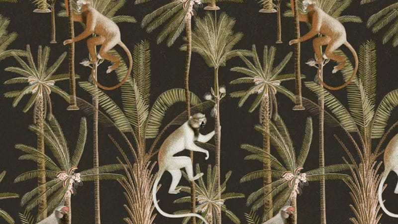 Mind the Gap's cheeky monkeys wallpaper