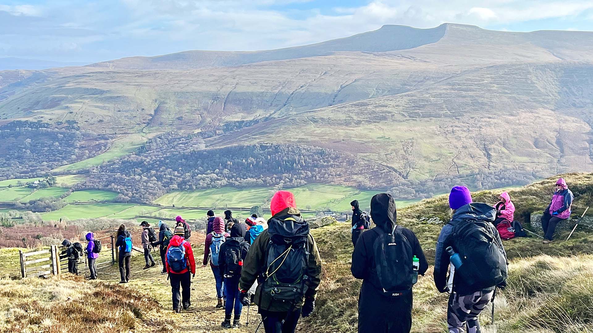 A collection of hikers photographed from behind and on their descent