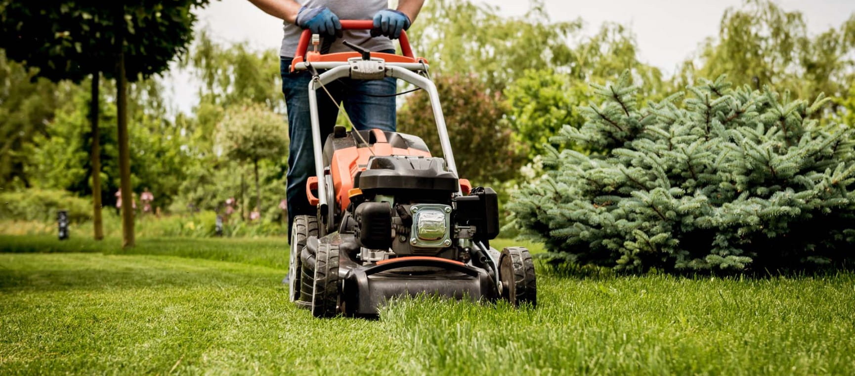 Are you cutting your grass so short it’s deterring wildlife from your garden?