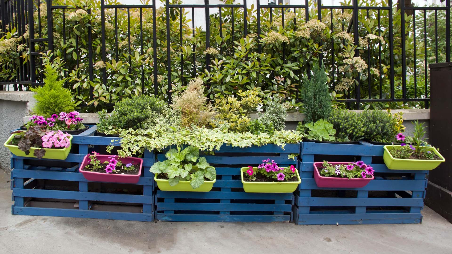 Repurposed wooden pallets can be brightened up with a lick of paint