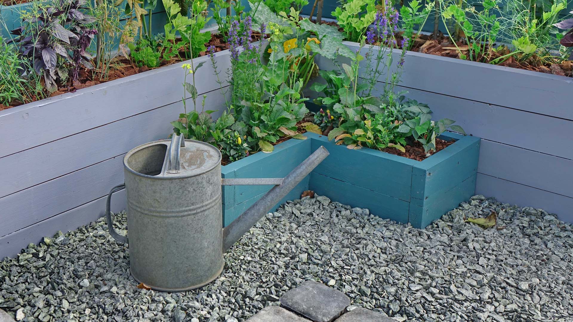 the corner of a gravel garden with two planters and a watering can