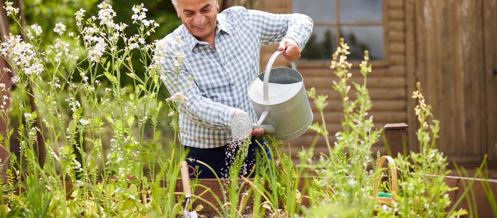 Raised bed gardens can provide easier access to planting jobs | Shutterstock/Daisy Daisy