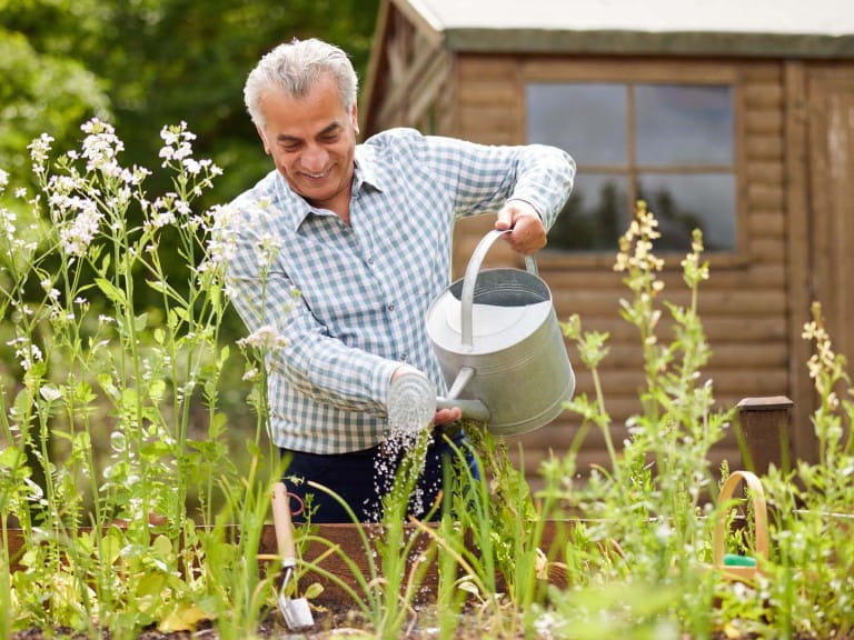 Raised bed gardens can provide easier access to planting jobs |  Shutterstock/Daisy Daisy