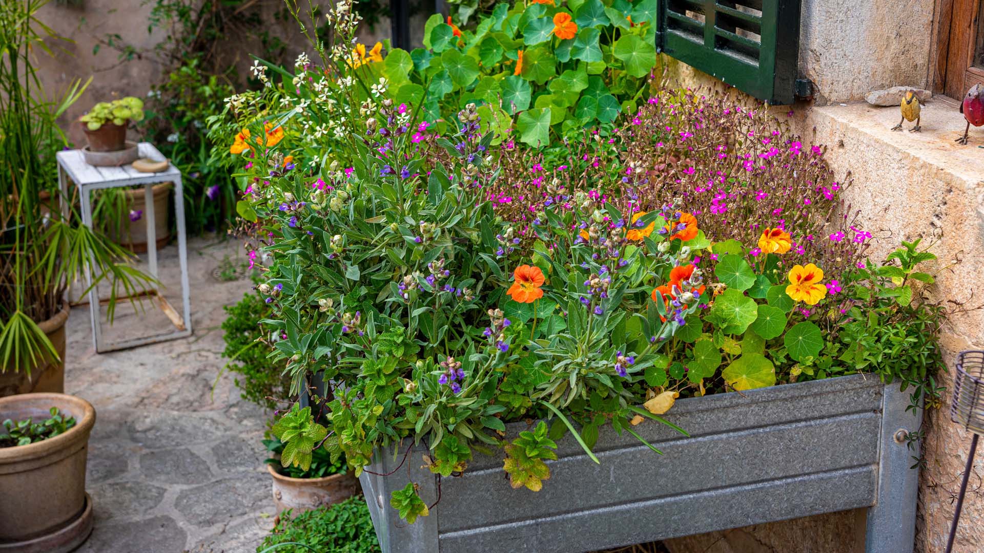 a grey planter with bright flowers