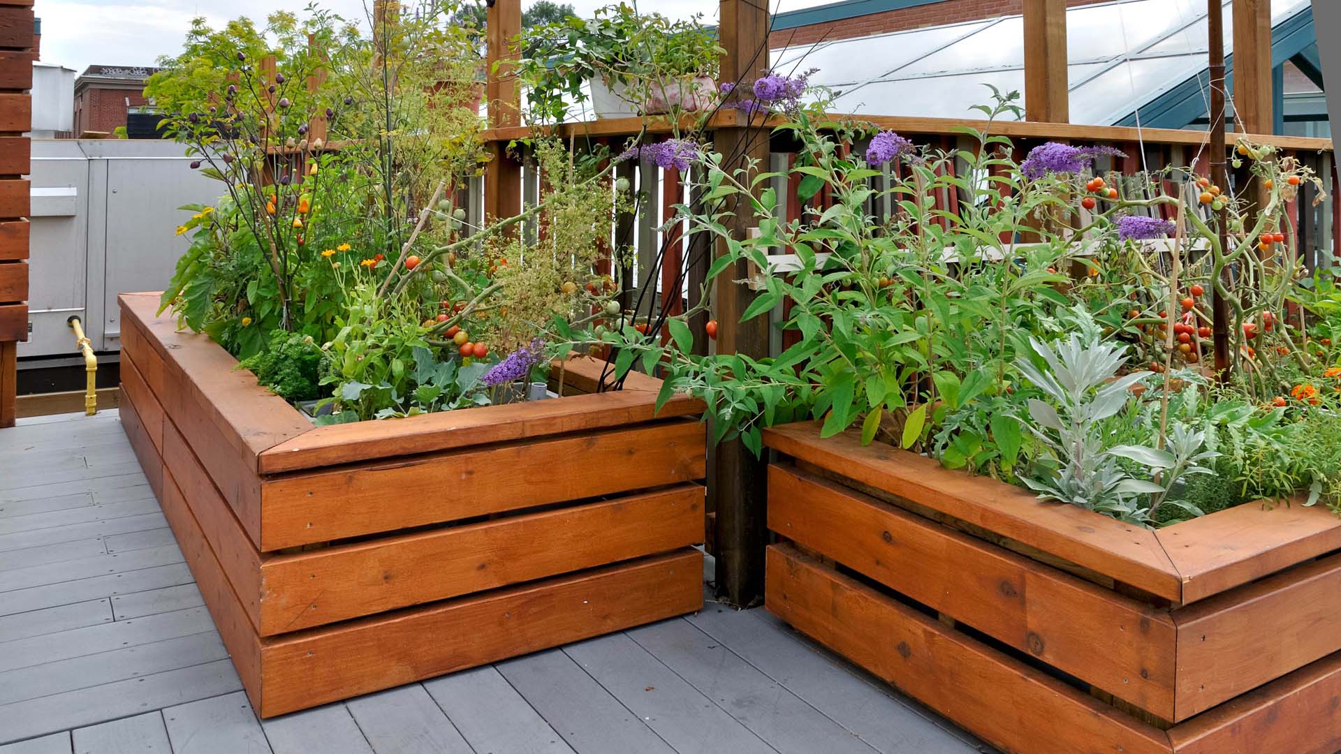 two wooden planters on a roof terrace