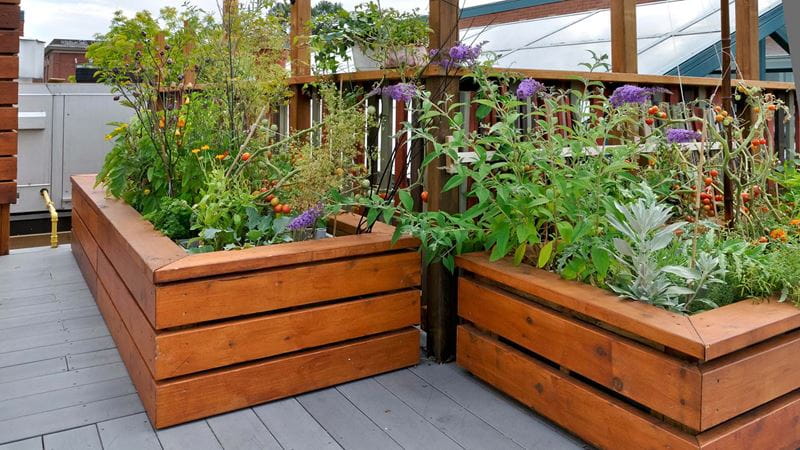 two wooden planters on a roof terrace