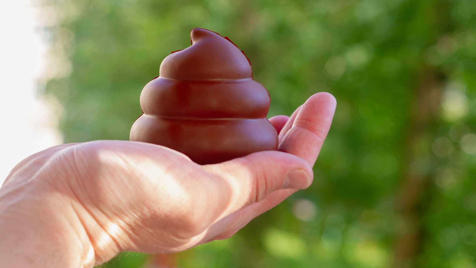 Close-up of someone holding a toy poo