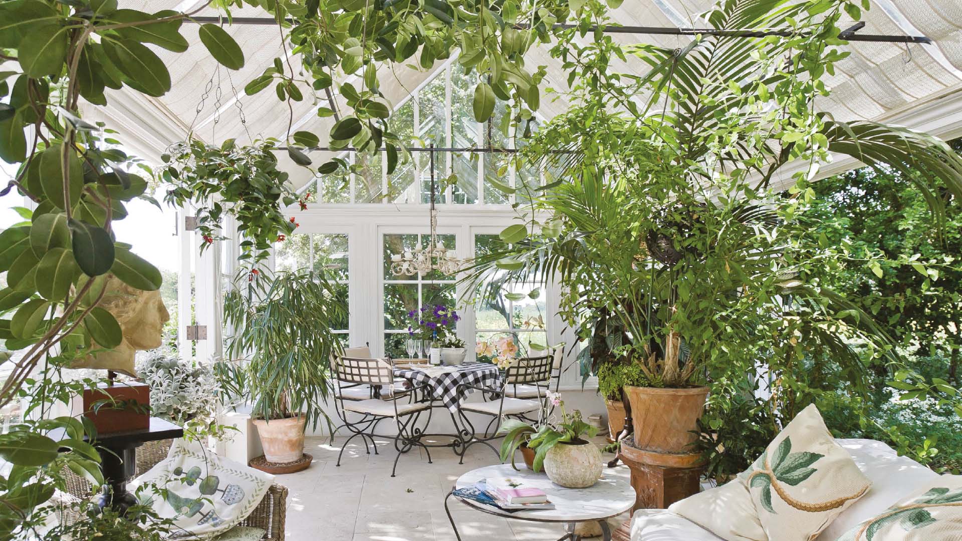 A profusion of plants can bring the outdoors in to your conservatory