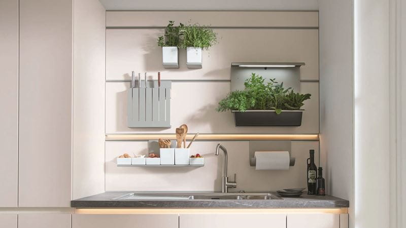 A kitchen sink area filled with plants on shelves