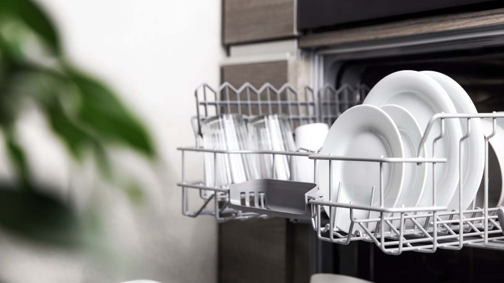 Plates in a dishwasher