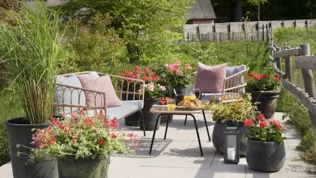 Cottagecore outdoor dining with Pot Plants