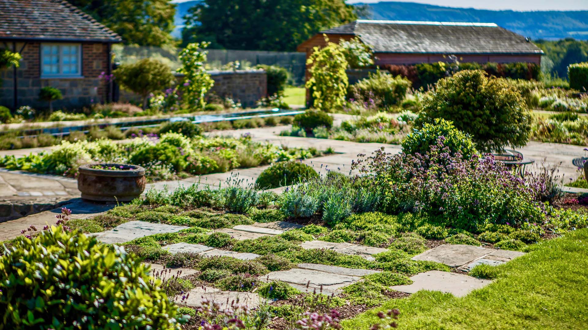 Paving slabs alongside flowers for wildlife