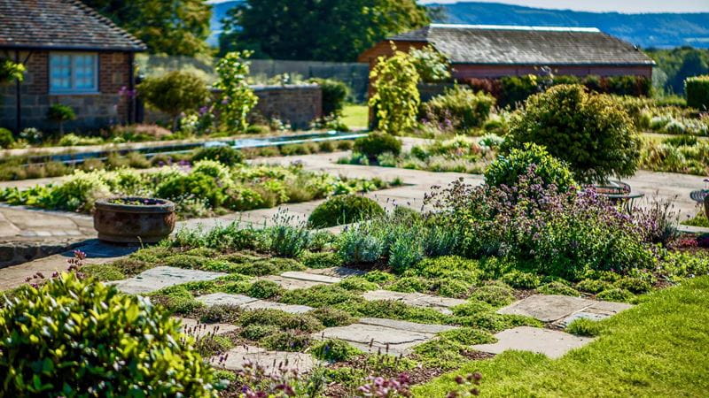 Paving slabs alongside flowers for wildlife