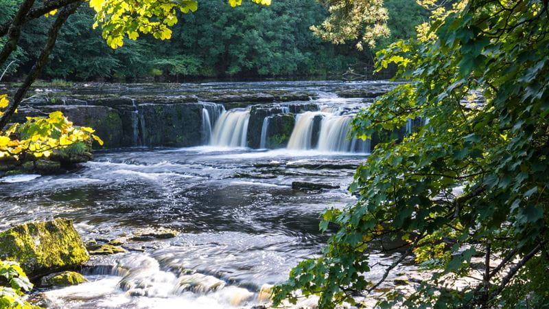 waterfalls on a beautiful river, surrounded by trees