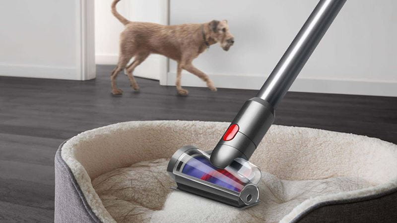 A Dyson vacuuming a dog bed with a dog visible in the background