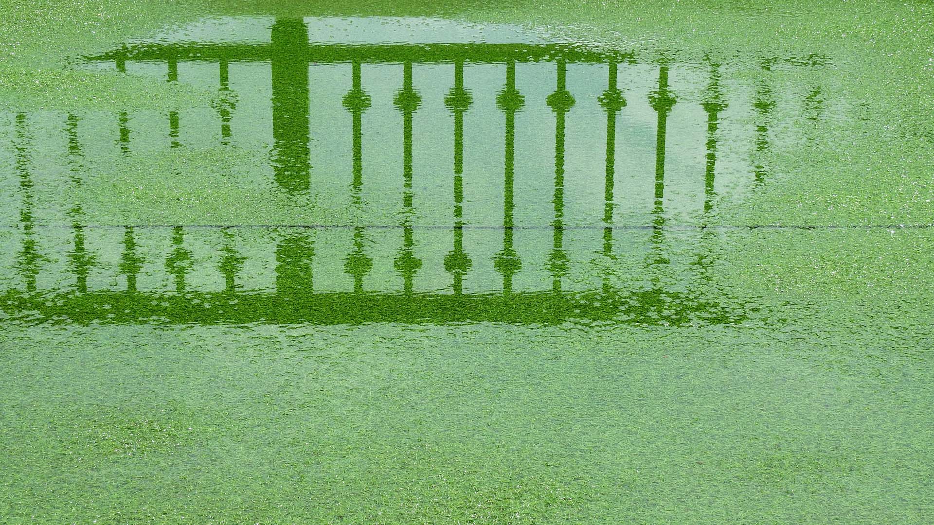 Puddles forming on artificial grass
