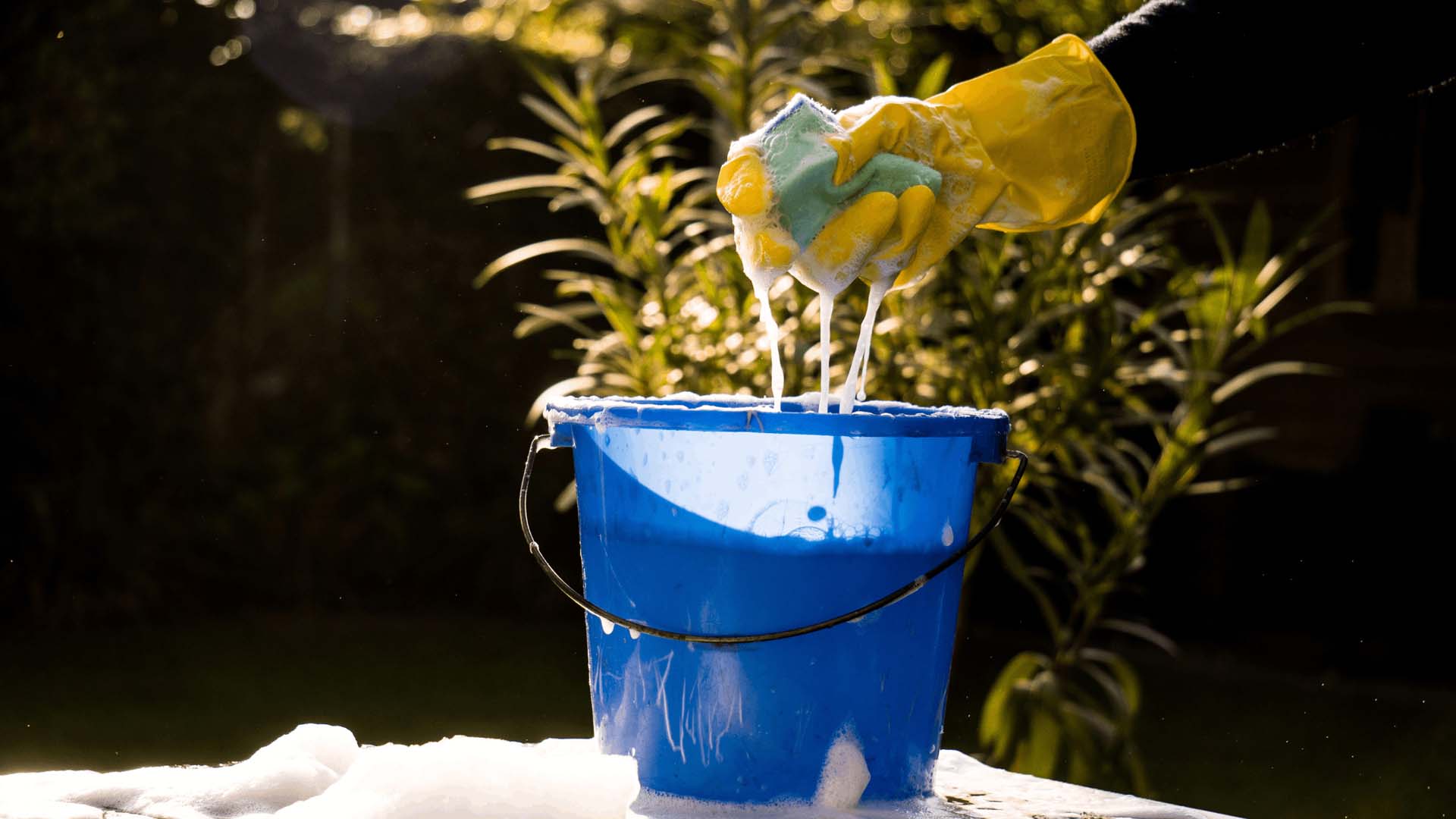 A hand wearing a yellow rubber glove holding a soapy sponge above a blue bucket of soapy water outdoors.