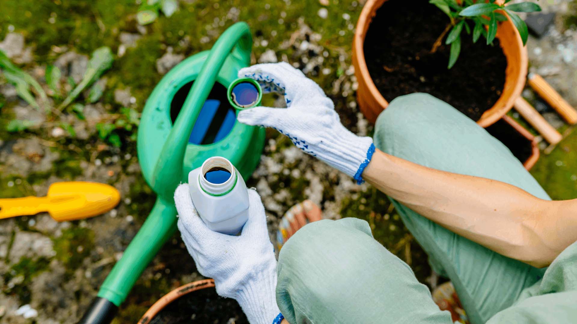 Close up of woman's hands in gloves pours liquid mineral fertilizer in watering can with water in backyard