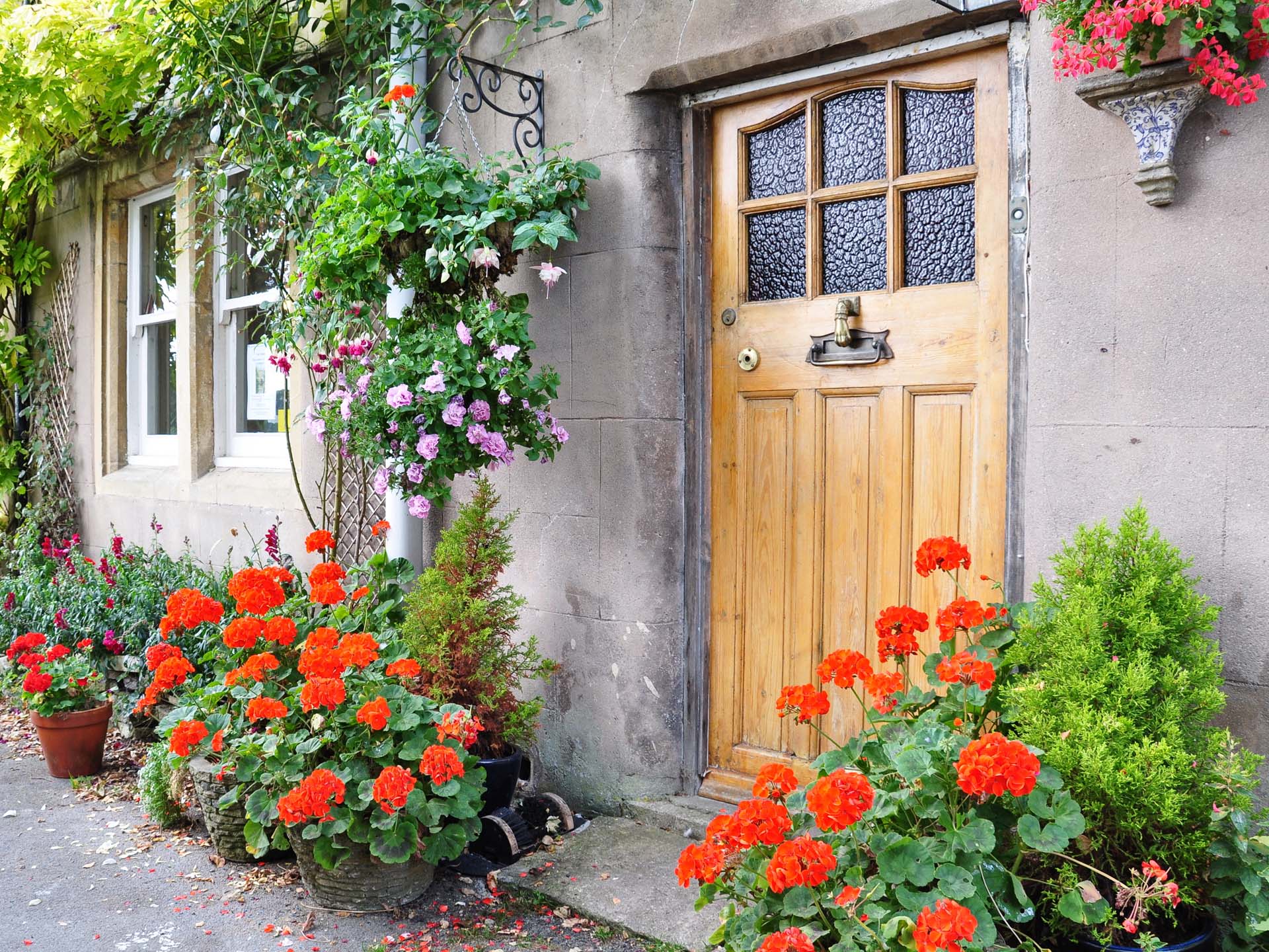 flowers growing around a front door
