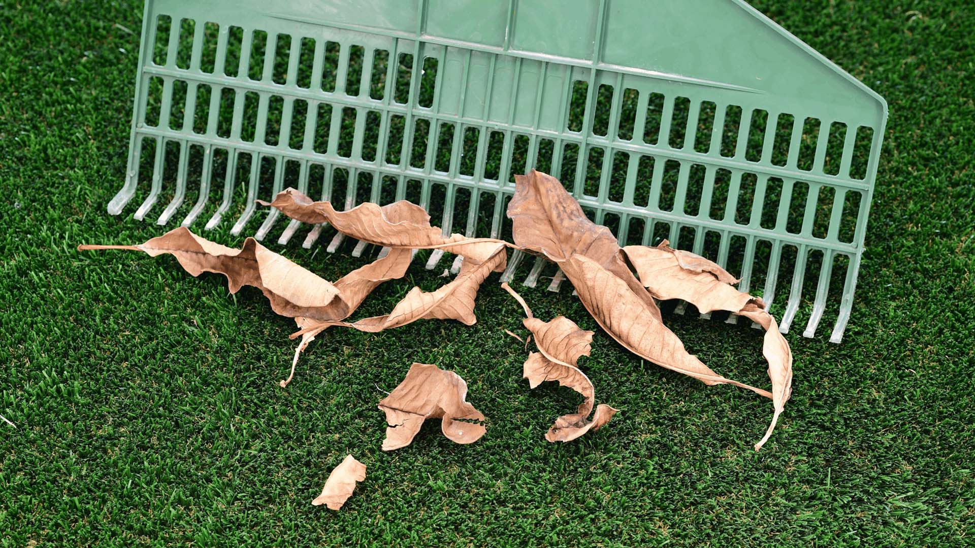 Close-up of a green plastic rake sweeping dead leaves from artificial grass. 