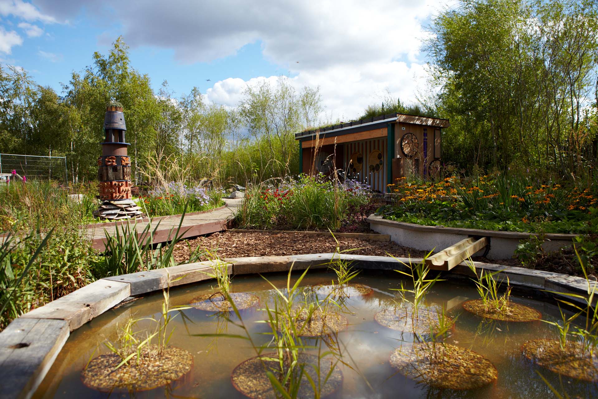 Rain garden at London Wetland Centre