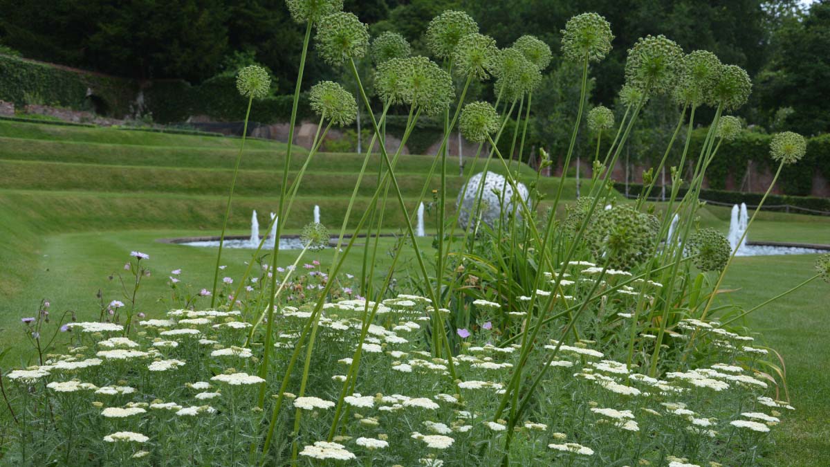 A landscaped garden with an amphitheatre-style lawn, a large water feature and flowers visible in the foreground.