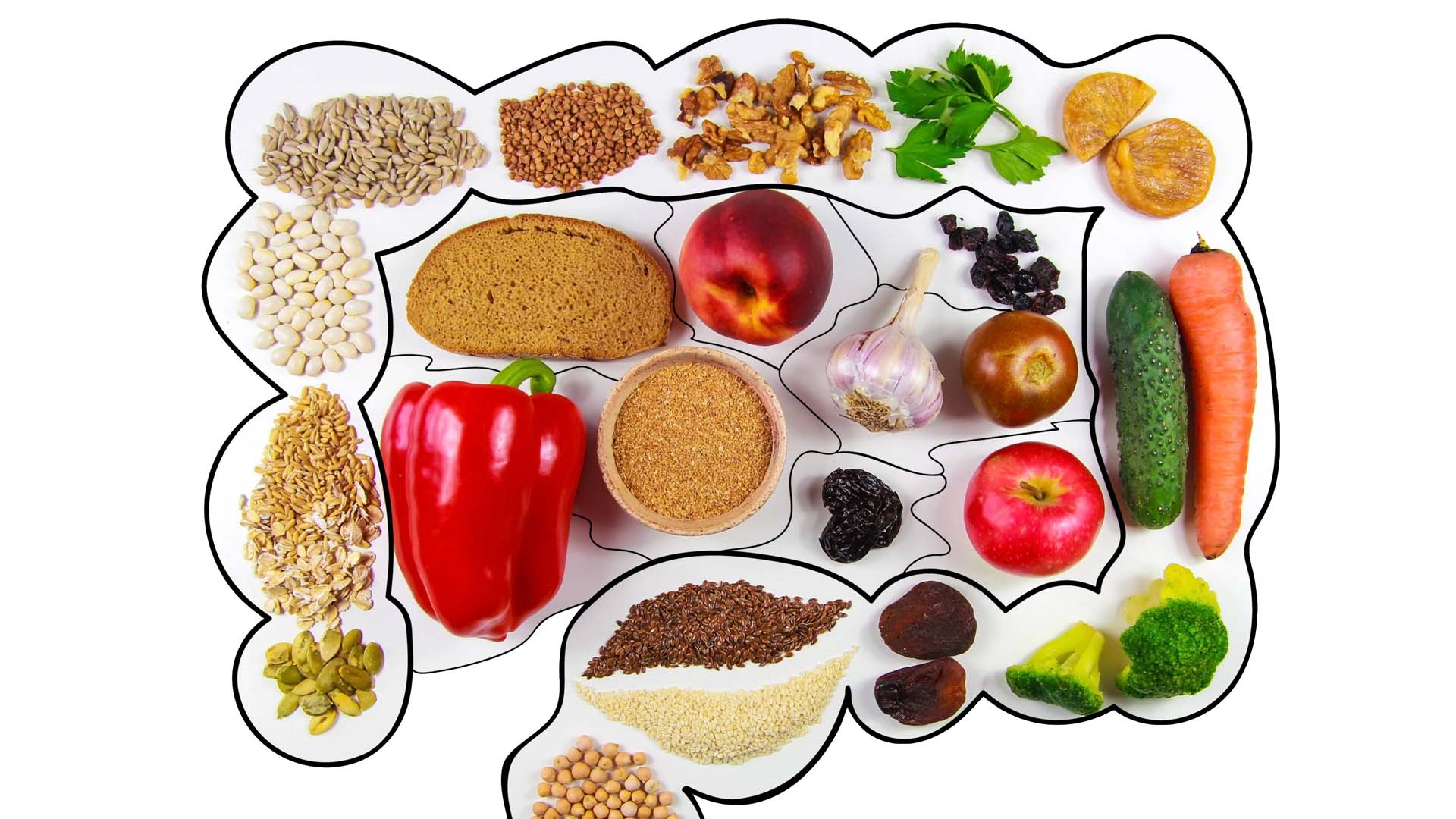 An illustration representing foods moving through the gut