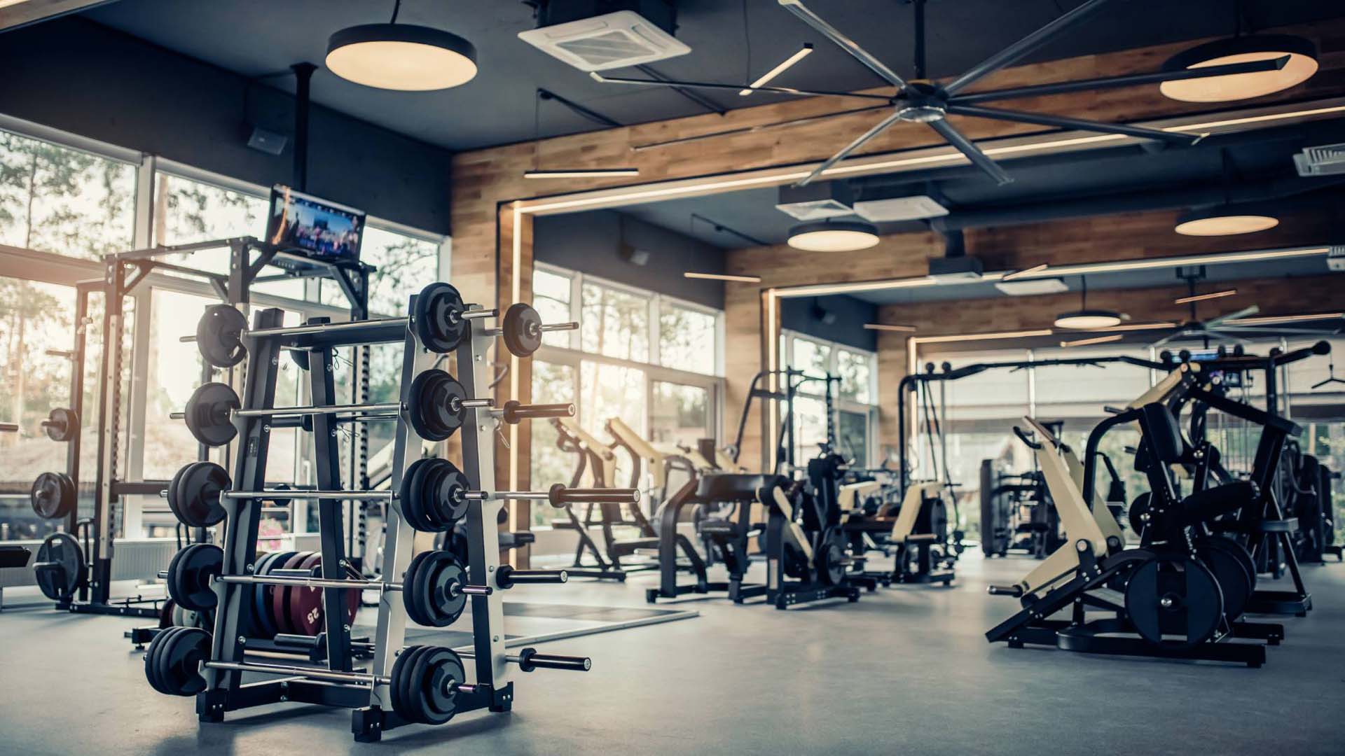 Gyms contain a mix of strength and cardio equipment