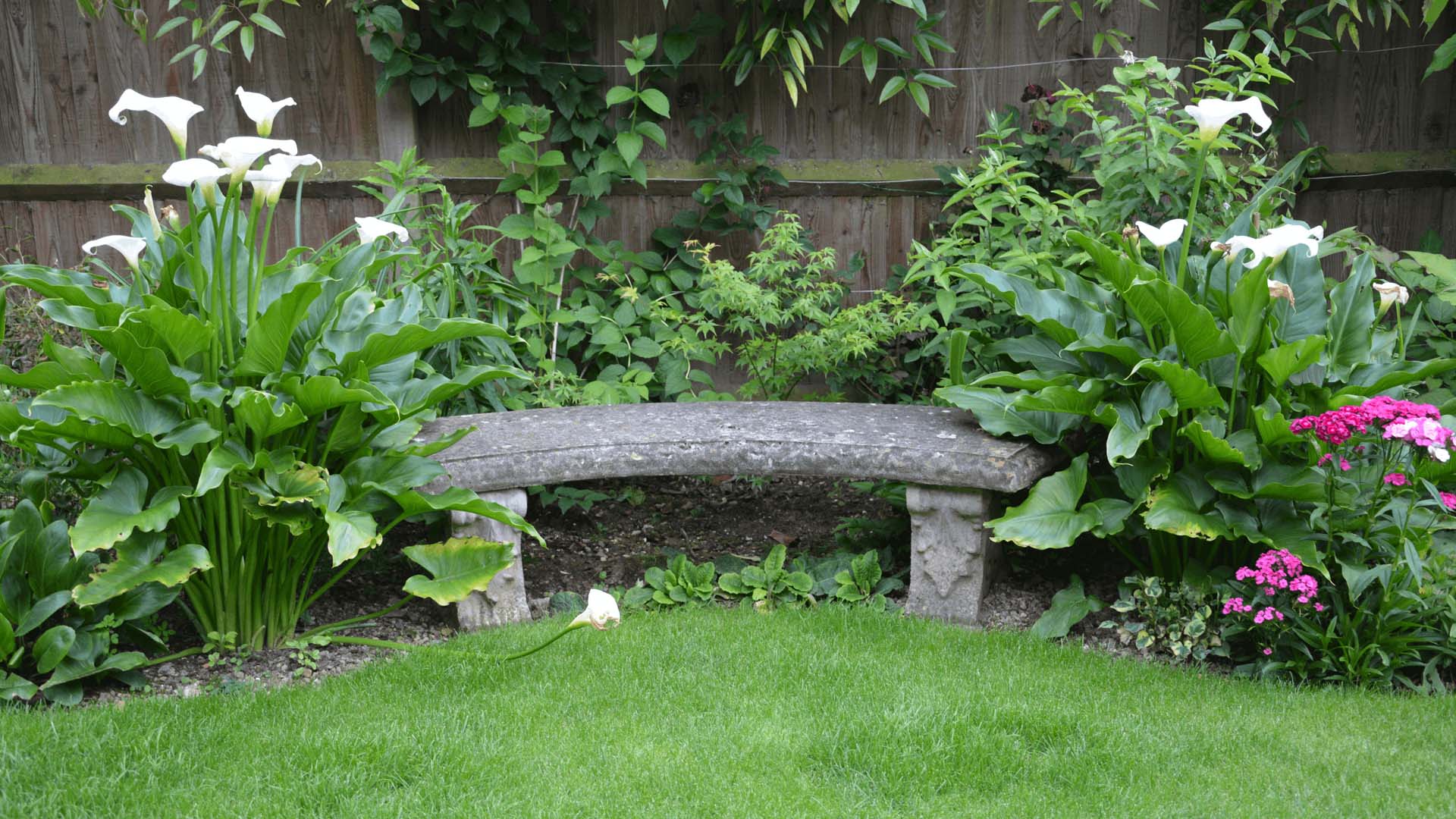 Curved stone bench surrounded by white and pink flowers
