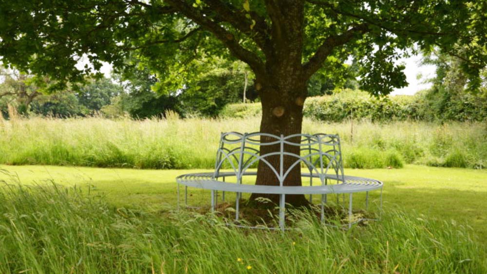 Round iron vintage bench wrapping a large tree in the field