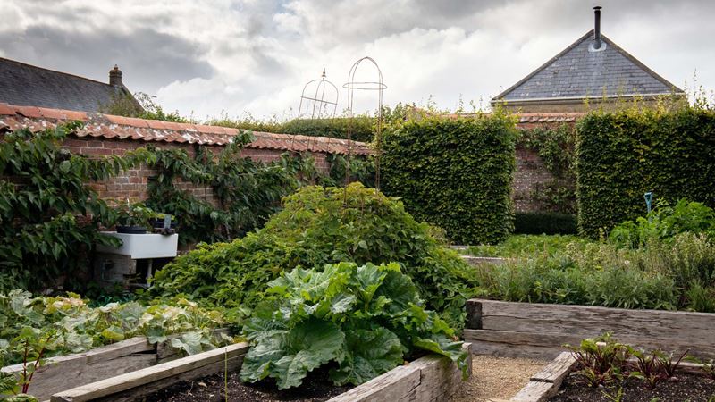 A walled garden with a butler's sink