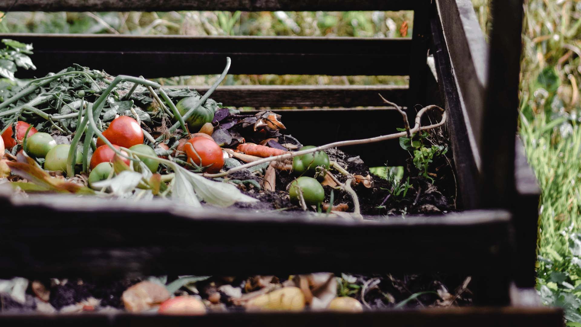 A wooden compost bin