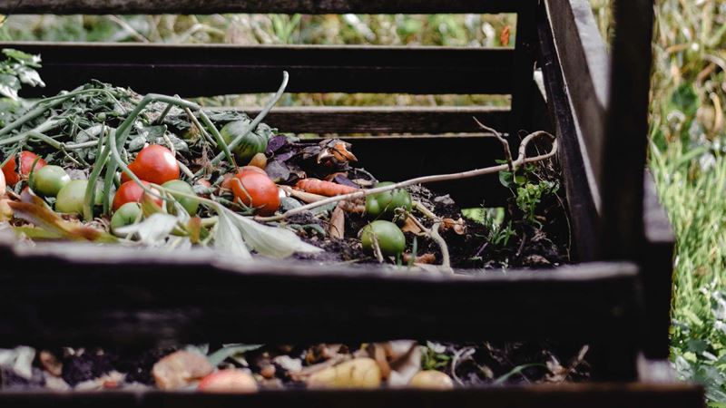 A wooden compost bin