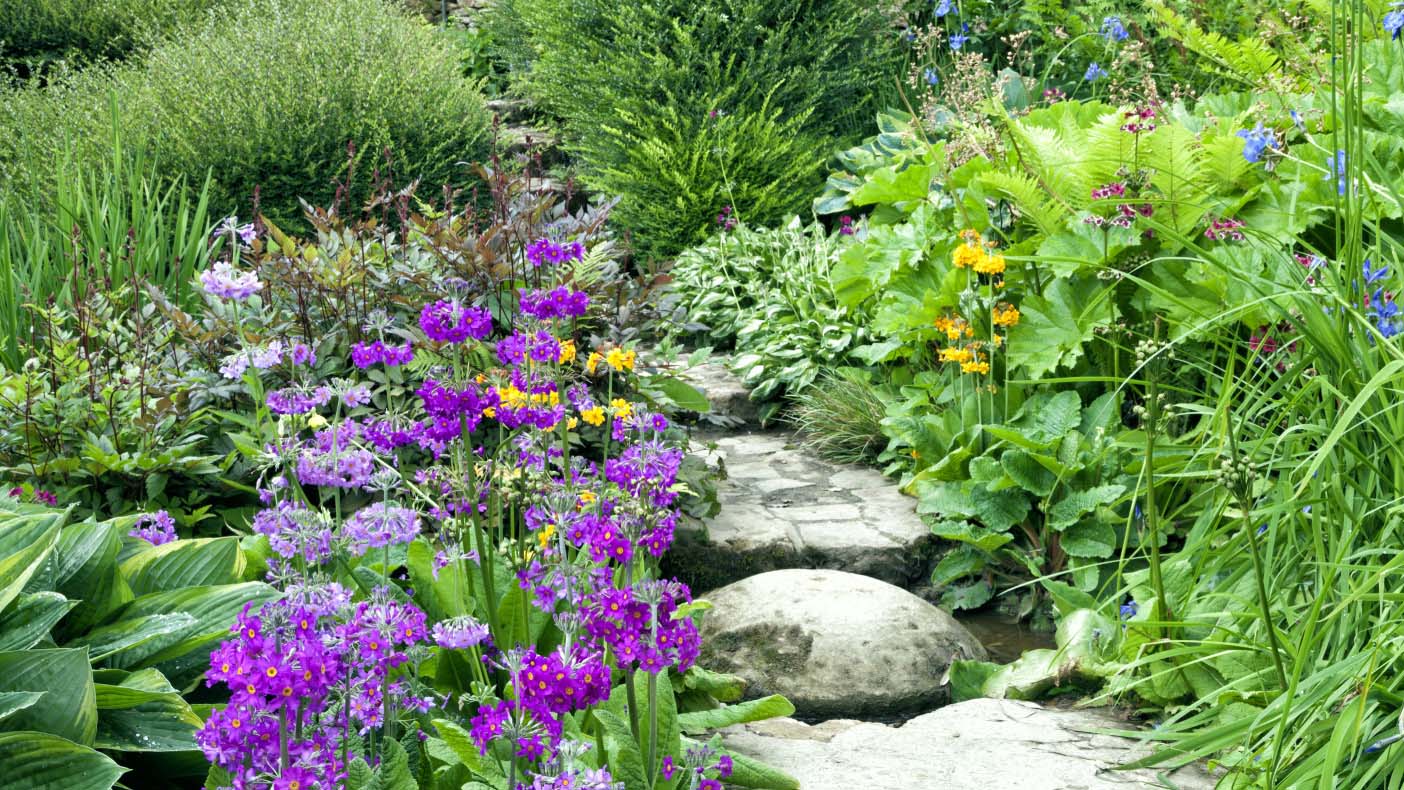 A line of stepping stones surrounded by an abundance of greenery and flowers.
