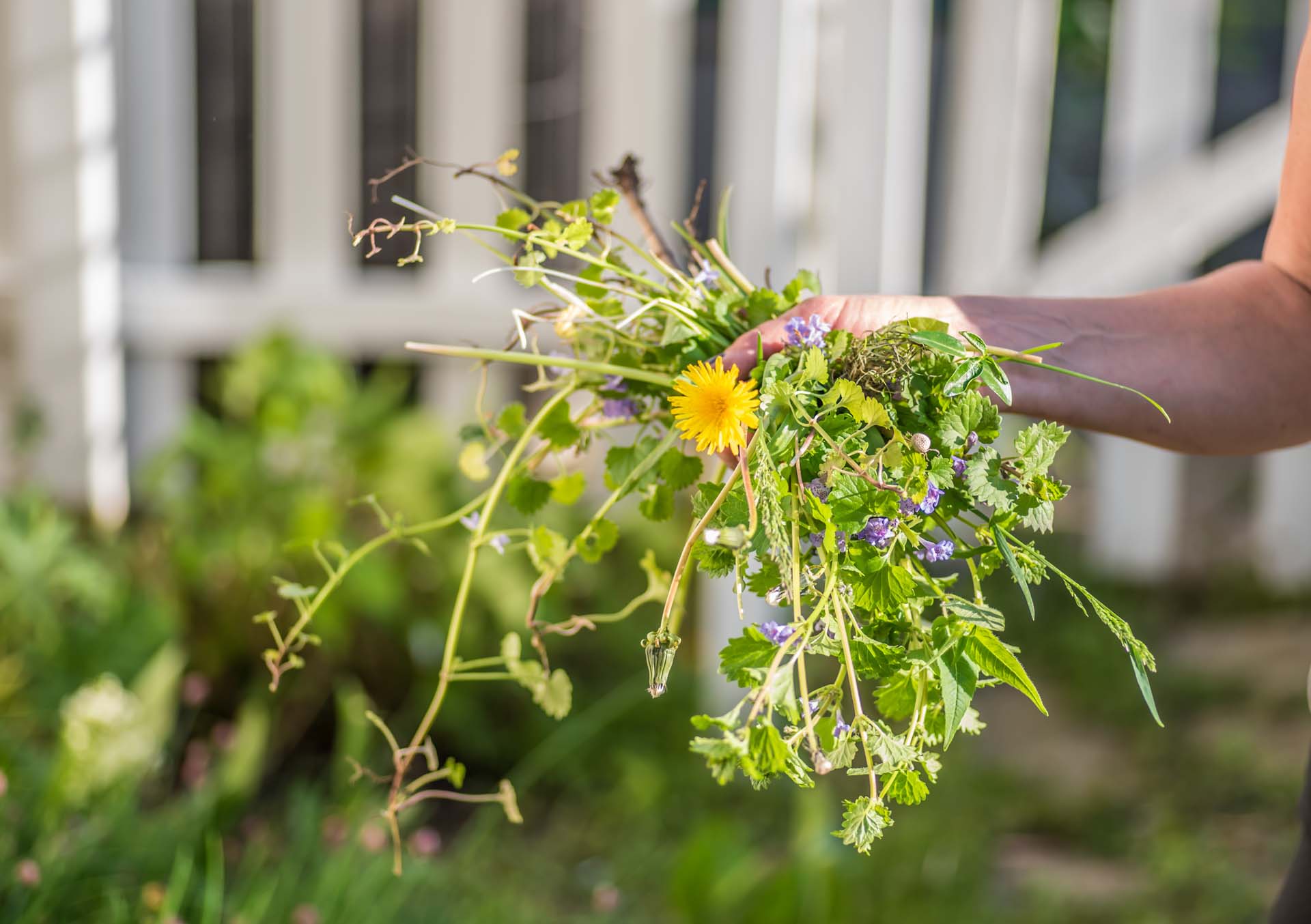 Woman holding a handful of weeds from garden